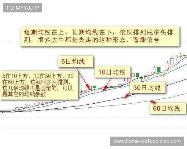 深度解析十一选五玩法规律与技巧全面揭秘助赢策略指南实战经验分享