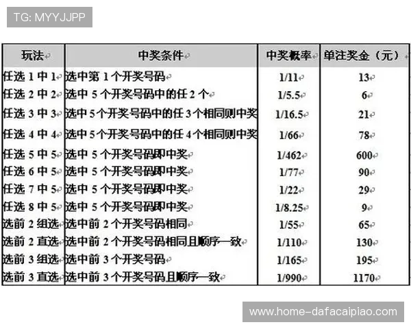 全面解析彩票中奖规则及奖金分配方法详尽说明