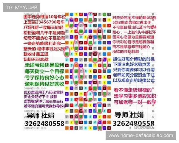 揭秘幸运飞艇最新走势与开奖规律全面解析技巧指南 揭秘幸运飞艇最新走势与开奖规律全面解析技巧指南