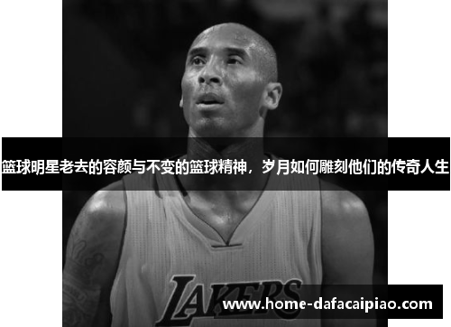 篮球明星老去的容颜与不变的篮球精神，岁月如何雕刻他们的传奇人生